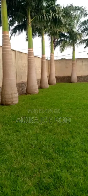 Joefel Tilling and Landscaping With Gardening