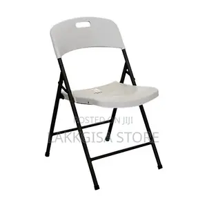 Lifetime Foldable Chair