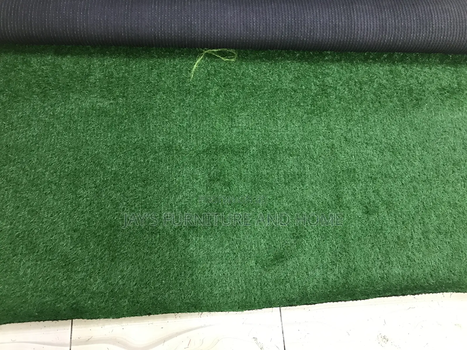 Carpet Grass