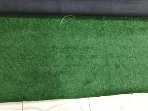 Carpet Grass