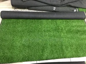 Carpet Grass