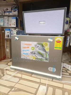 Snowsea 270 Litres Freezer