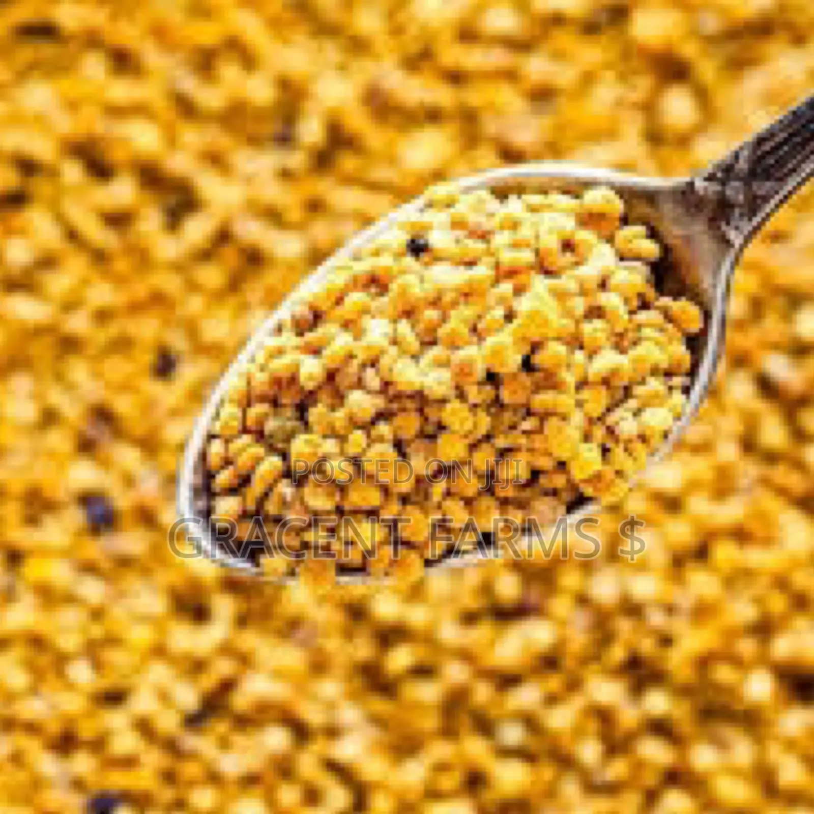 Bee Pollen - 200g