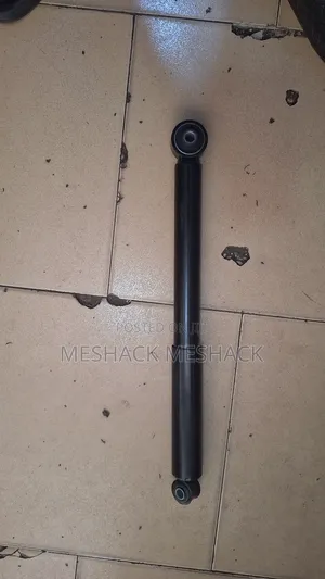 Toyota Passo Back Shock
