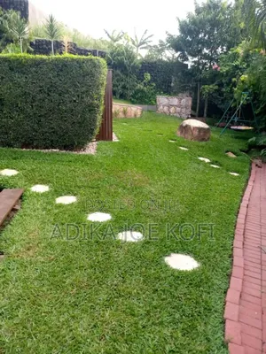 Landscaping by Joefel Construction Decor