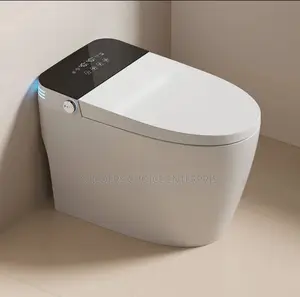 Smart Intelligent Commode Bidet Water Closet