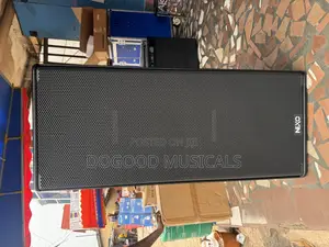 Nexo 15” Dual Full Range Speaker(Pair)