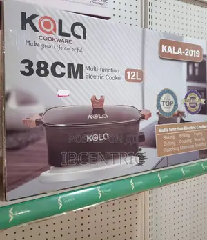 Kala 12L Cast Aluminium Electric Pot