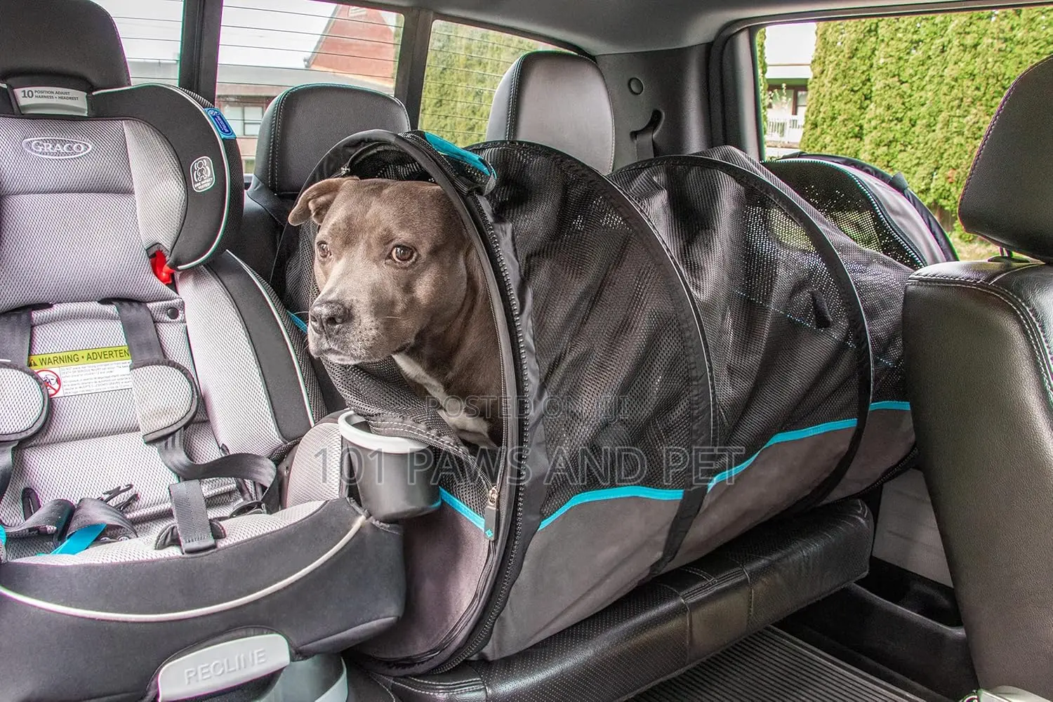 Pet Carrier / Pet Car Tube