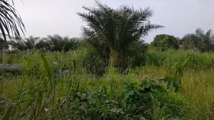 Registered Acres of Land for Sale.