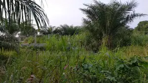 Registered Acres of Land for Sale.