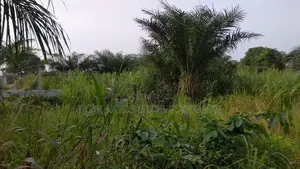 Registered Acres of Land for Sale.