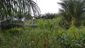 Registered Acres of Land for Sale.