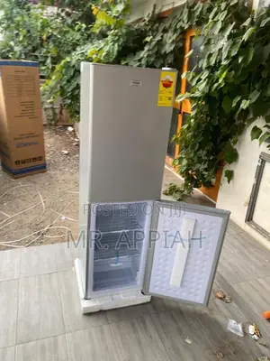 Fast Chilling Nasco D2-24 Double Door Refrigerator(198L) 