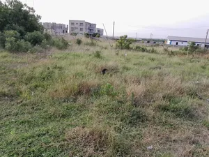 Land for Sale at Lashibi