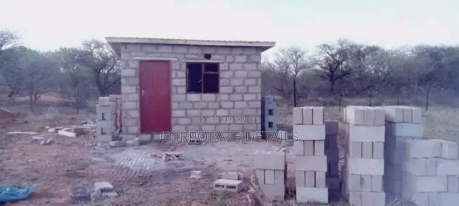 Mason (Construction)