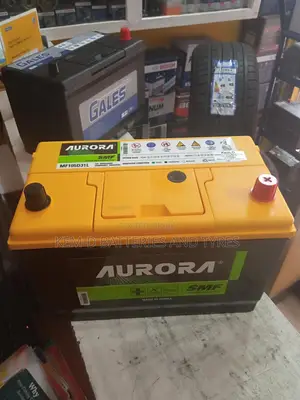 17 Plates Aurora Car Battery + Free Delivery