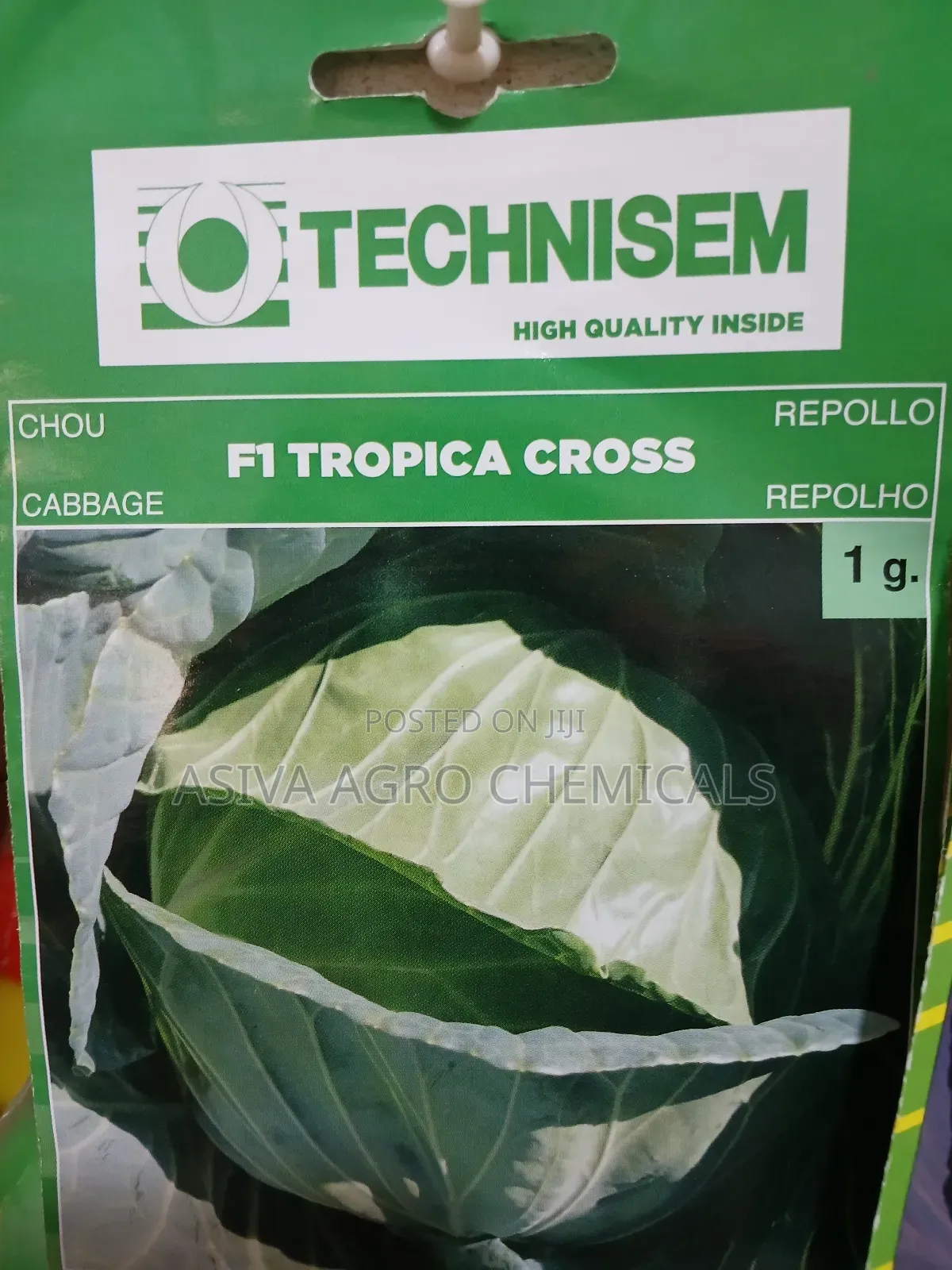 Cabbage(Red and Green) Seeds