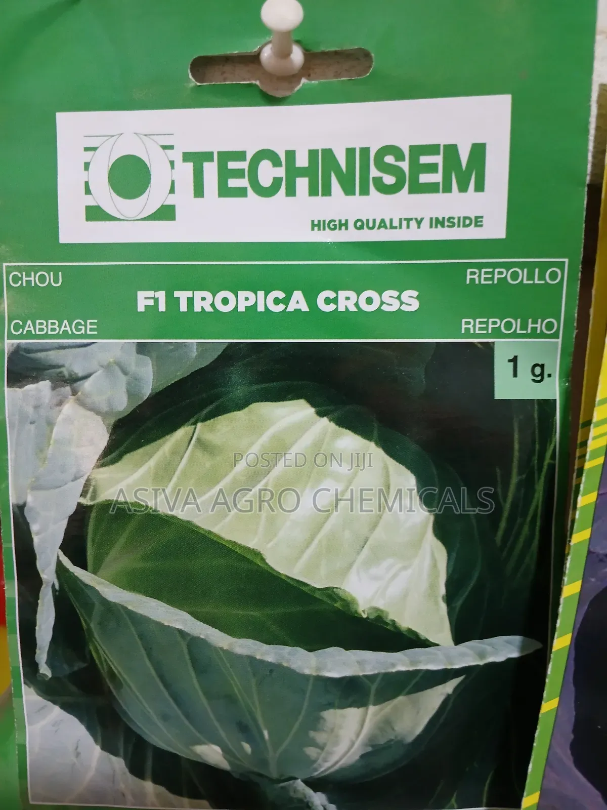 Cabbage(Red and Green) Seeds