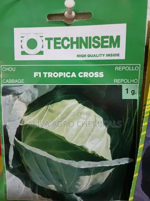 Cabbage(Red and Green) Seeds
