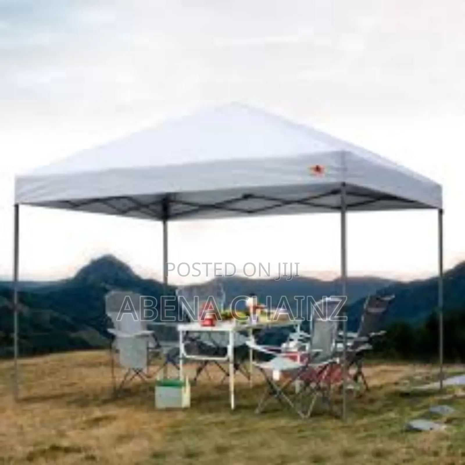 Quality Canopy Tent( 10 Feet )