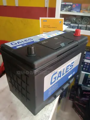 17 Plates Gales Car Battery Free Door Step Delivery