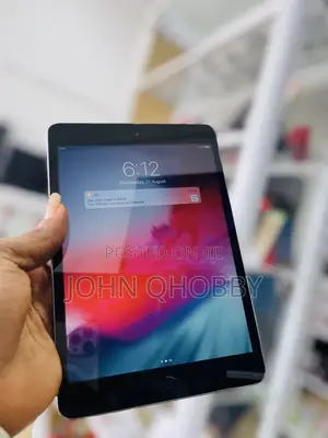 Apple iPad mini 2 16 GB Gray