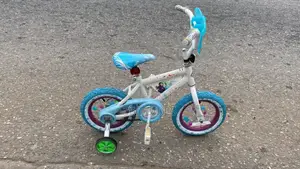 Bicycle Kid