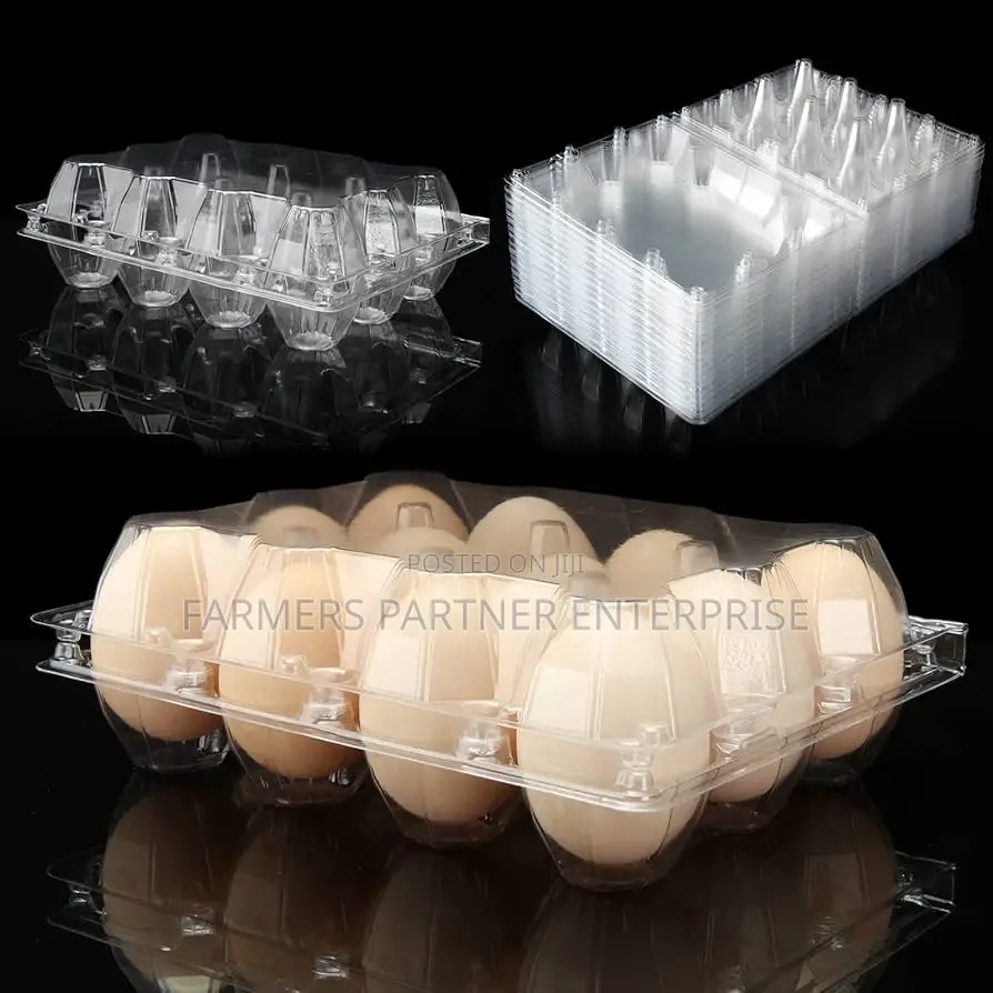 Transparent Egg Crate 12pcs