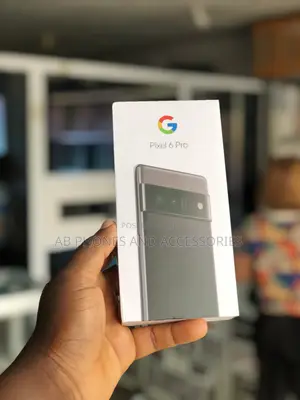 New Google Pixel 6 Pro 256 GB Gray