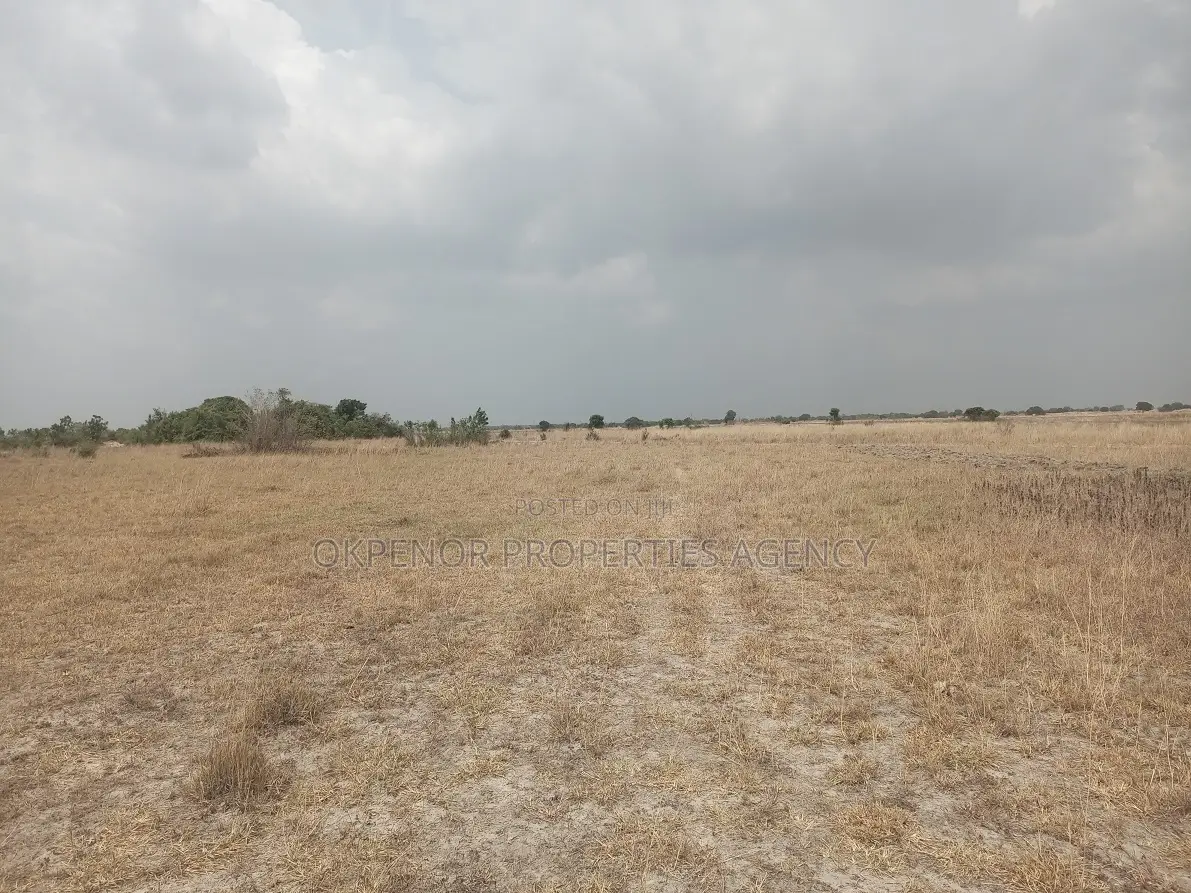 Land for Sale at Sege