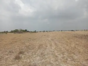 Land for Sale at Sege