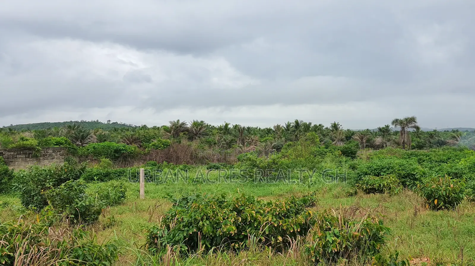 Central Region, Komenda (Kanka) _ 14+ Acres Oceanfront Land