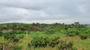 Central Region, Komenda (Kanka) _ 14+ Acres Oceanfront Land