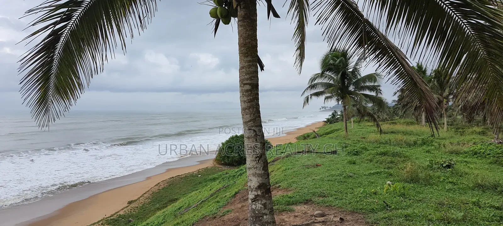 Central Region, Komenda (Kanka) _ 14+ Acres Oceanfront Land