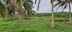 Central Region, Komenda (Kanka) _ 14+ Acres Oceanfront Land