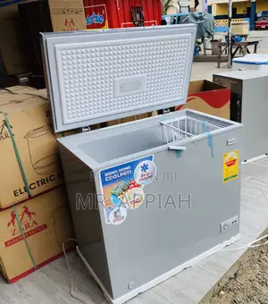 Shop Durable Nasco Nas 350fl 250L 1 Door Electric Freezer