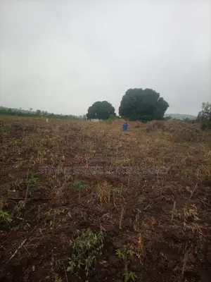 Registered Real Estate Land at Kasoa Adawukwa for Sale