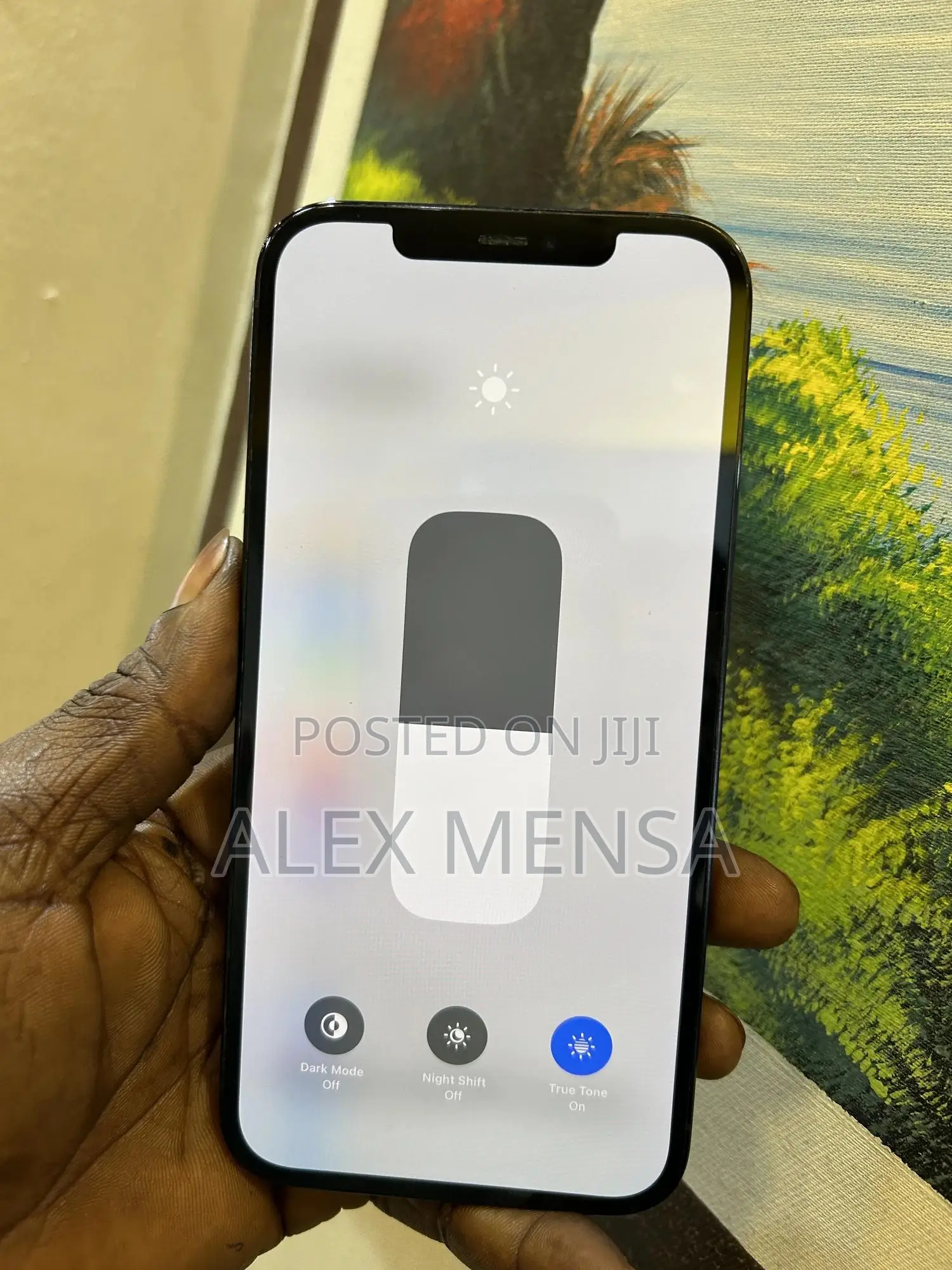Apple iPhone 12 Pro Max 256 GB Blue