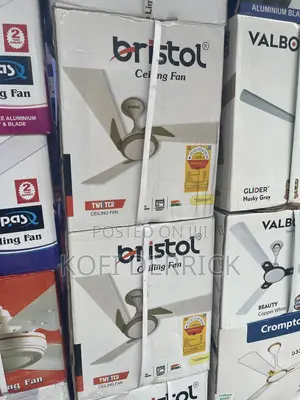 Bristol Twister - Long Blade Fan