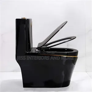 Toilet Bowl/ Water Closet(Black)