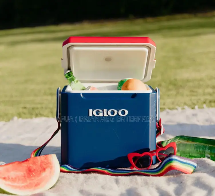 Igloo 11qt Tag-Along Ice Chest