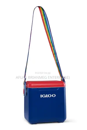 Igloo 11qt Tag-Along Ice Chest