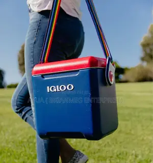 Igloo 11qt Tag-Along Ice Chest
