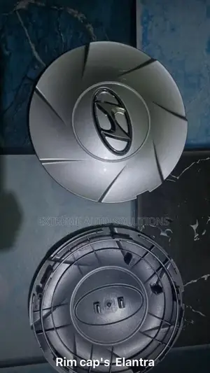 Hyundai Elantra 2011 Rim Cap