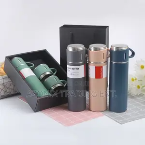3 in 1 Vacuum Flask + Bag