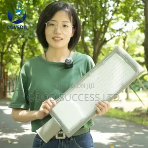 100w Street Light