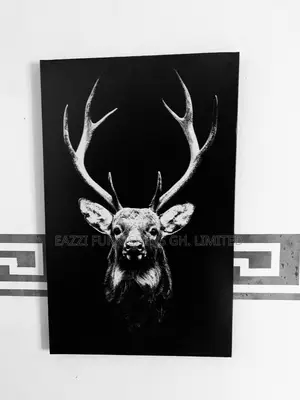 Hd Canvas Wall Frame