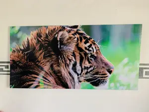Picture Frame Canvas Arts