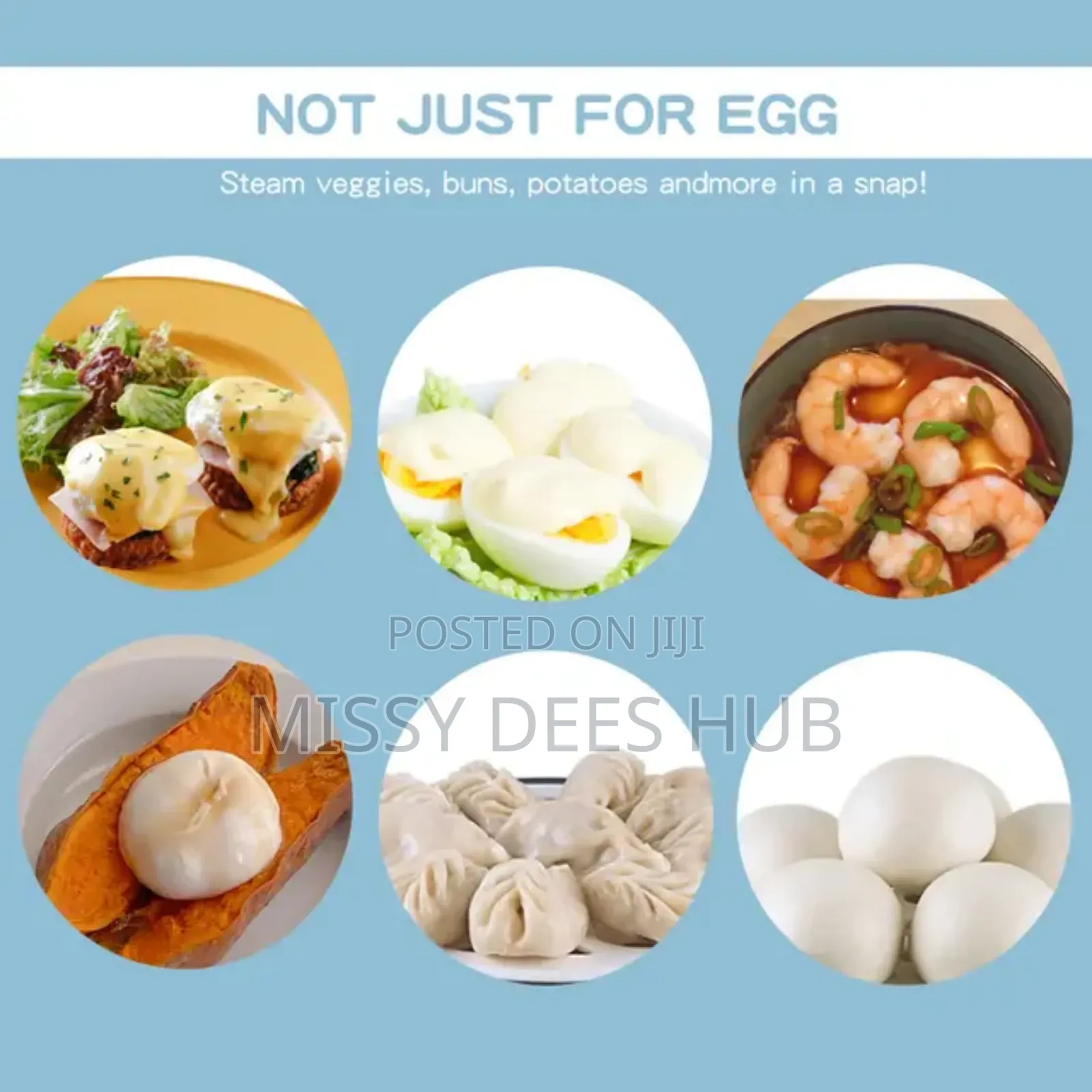 Egg Poacher